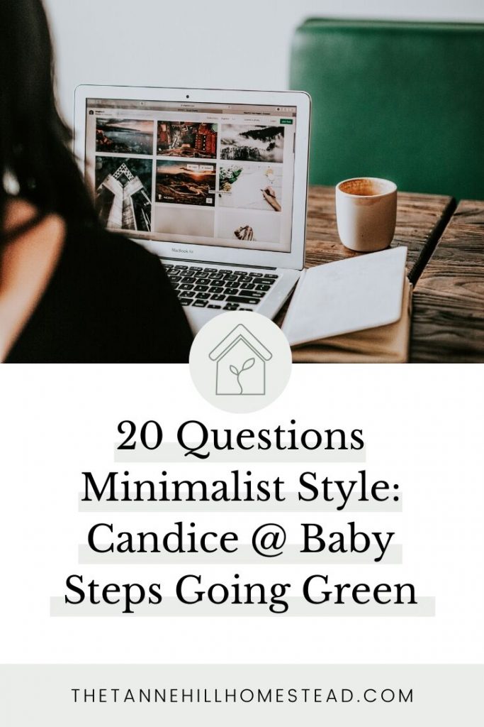 We're playing 20 Questions Minimalist Style with Candice at Baby Steps Going Green. There's a lot of great responses and things to learn in this one!