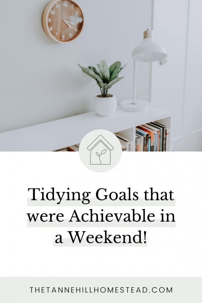 This past weekend, I got the bright idea of setting some tidying goals for my 600 square foot home. I have considered myself decluttered for about 2 months, but not necessarily tidy.