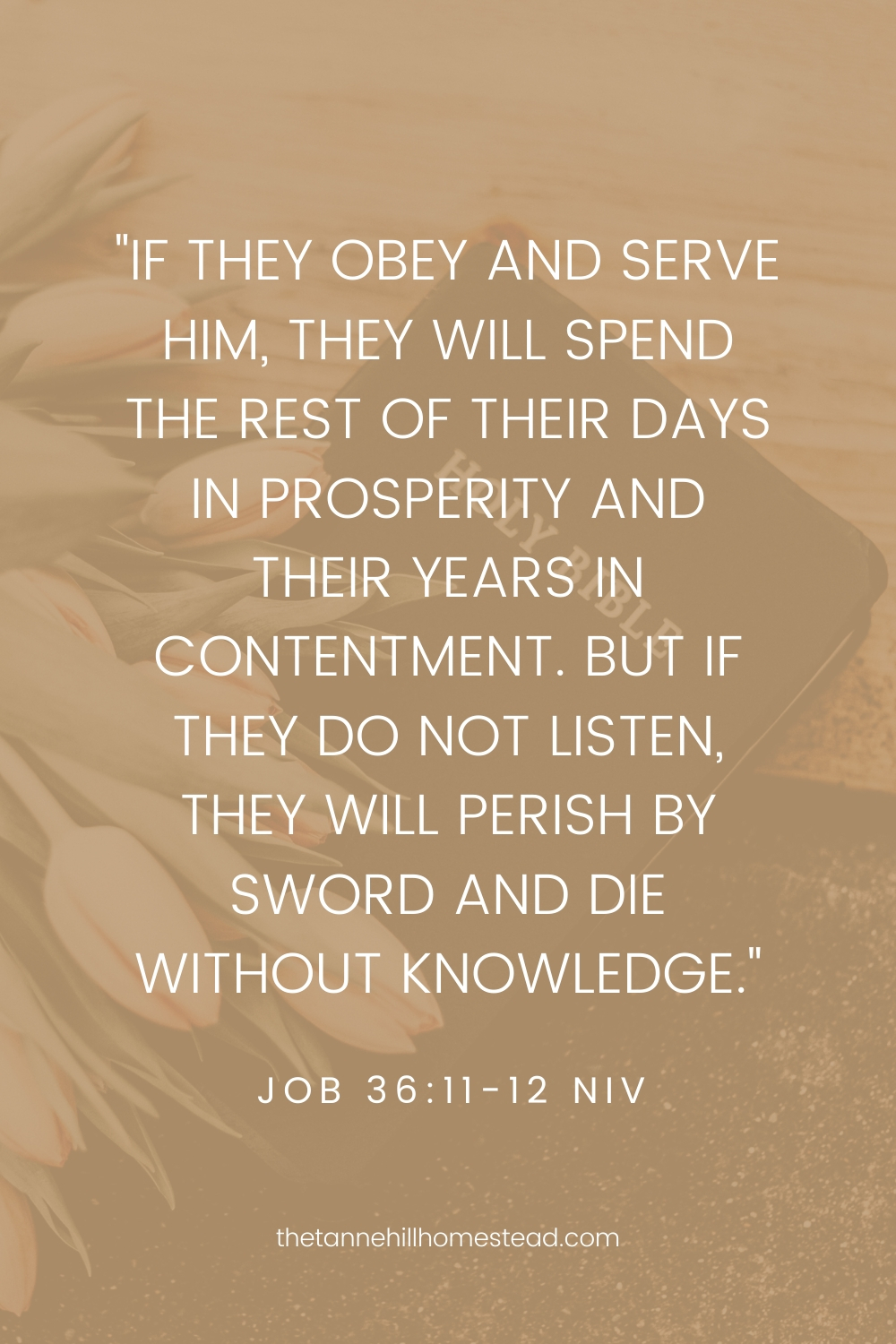 Job 36:11-12 - Bible verses about contentment