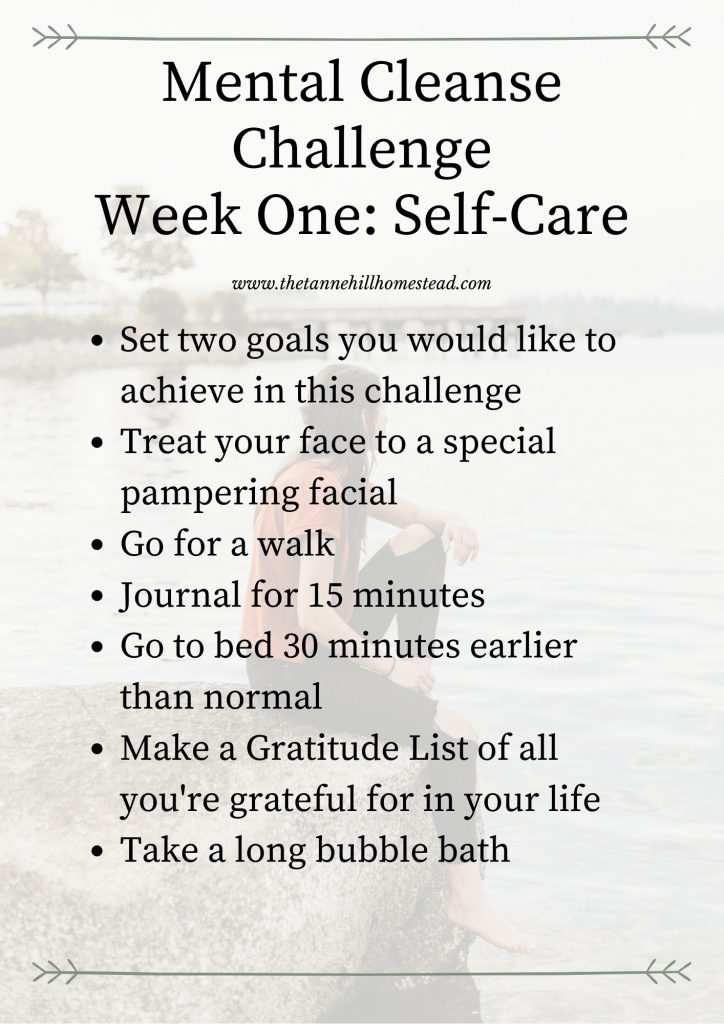 Need to reduce the stress in your life, but aren't sure what to do? Then this Mental Cleanse Challenge is PERFECT for you! #mentalcleanse #mentalcleansechallenge #mentalhealth #stressandoverwhelm #intentionalliving