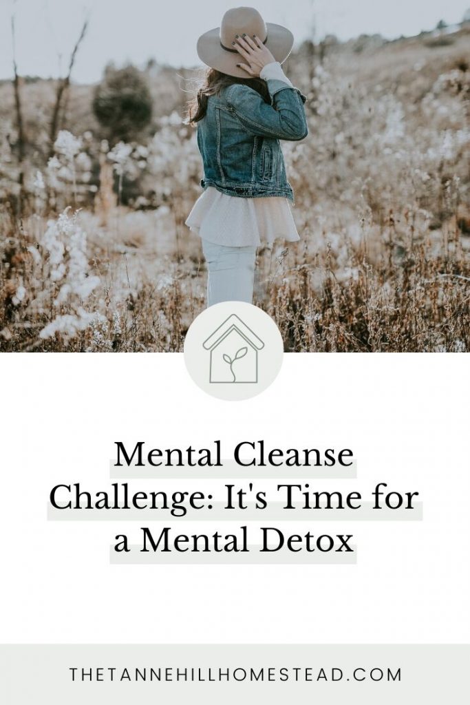 Are you ready for a mental detox? This Mental Cleanse Challenge serves up just that, so let's do this!