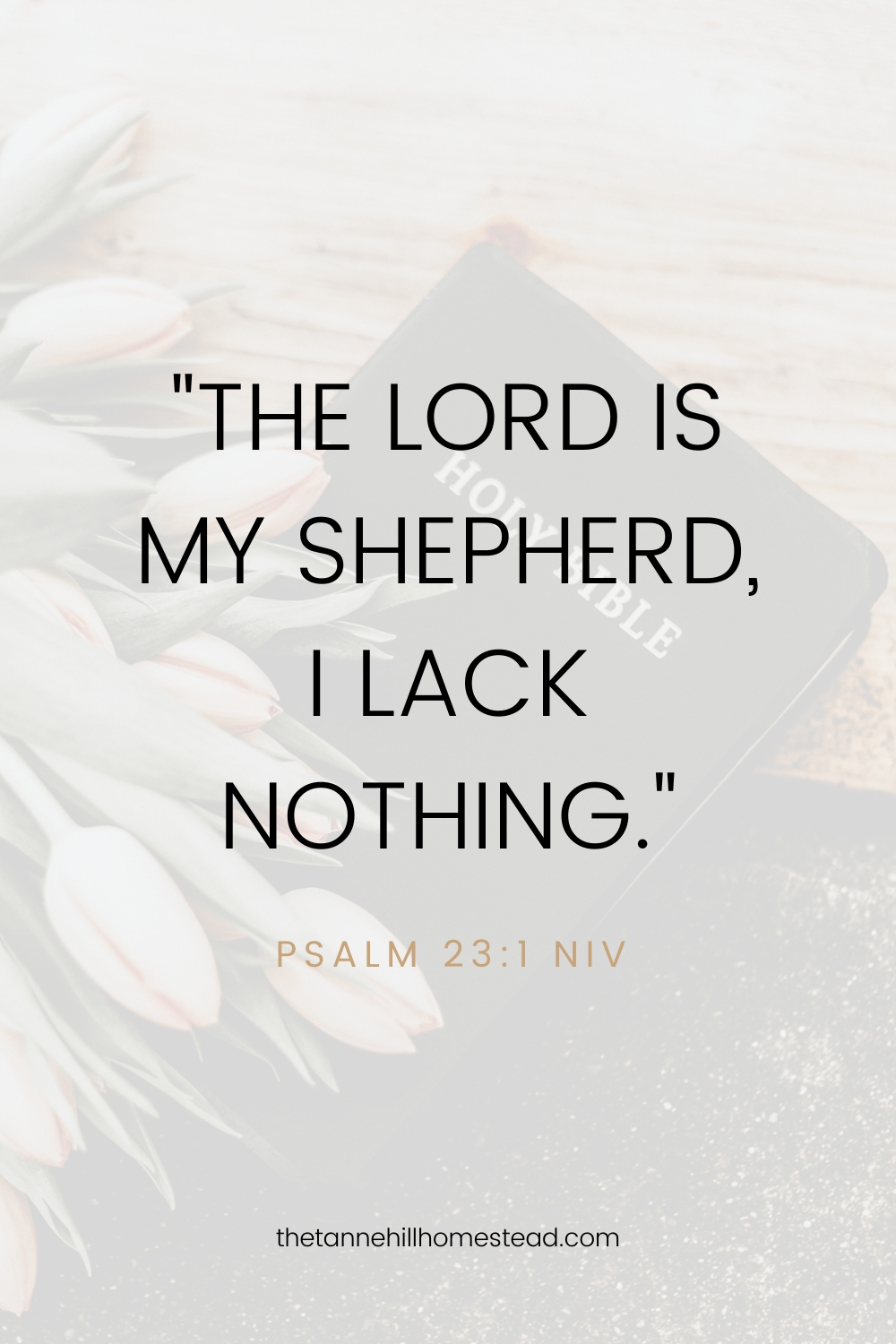 Psalm 23:1 - Bible verses about contentment