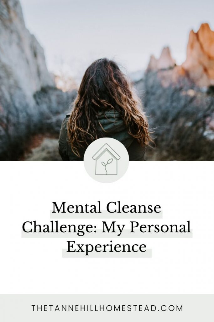 Need to reduce the stress in your life, but aren't sure what to do? Then this Mental Cleanse Challenge is PERFECT for you!