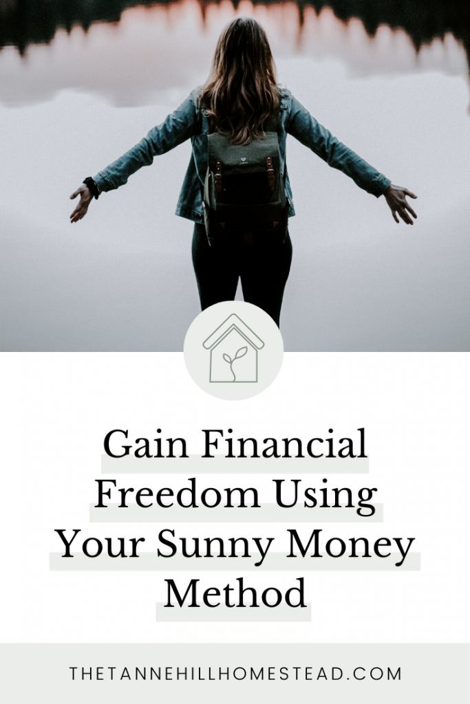 Let's talk finances! I have a tool that is going to give all of us the ability to create financial freedom called Your Sunny Money Method!