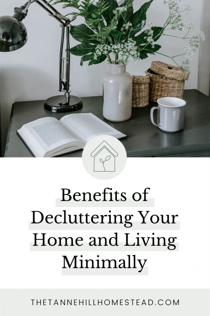 Do you know the benefits of decluttering your home and living minimally? If not, it is time to dive in and see what living clutter-free is all about!