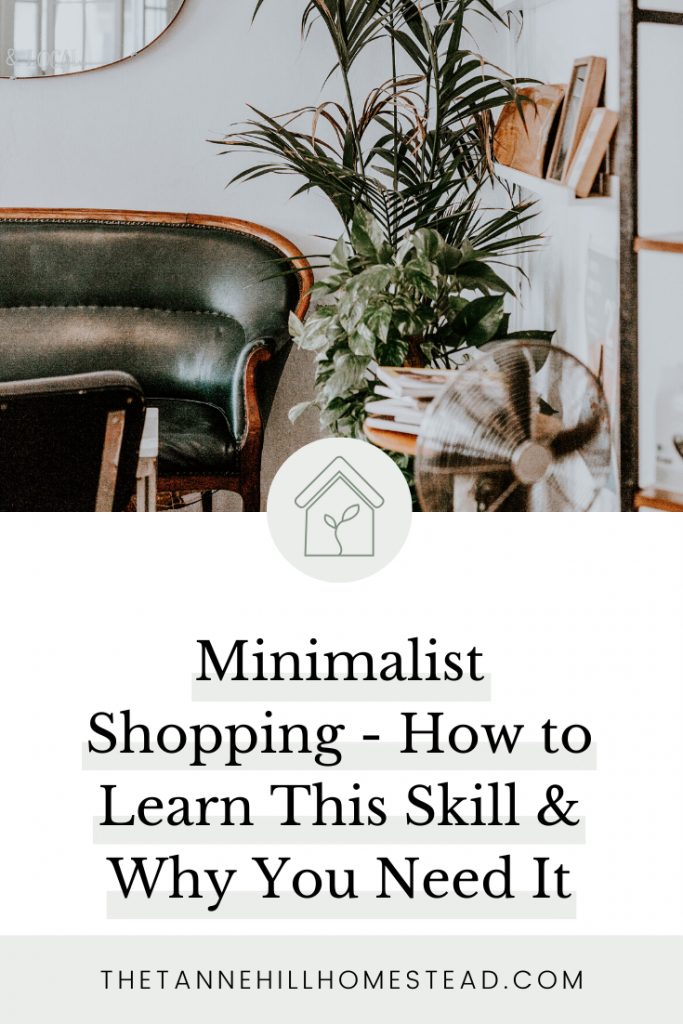 There are skills we all need to learn, especially if we want to live an intentional life. One skill in particular is minimalist shopping.
