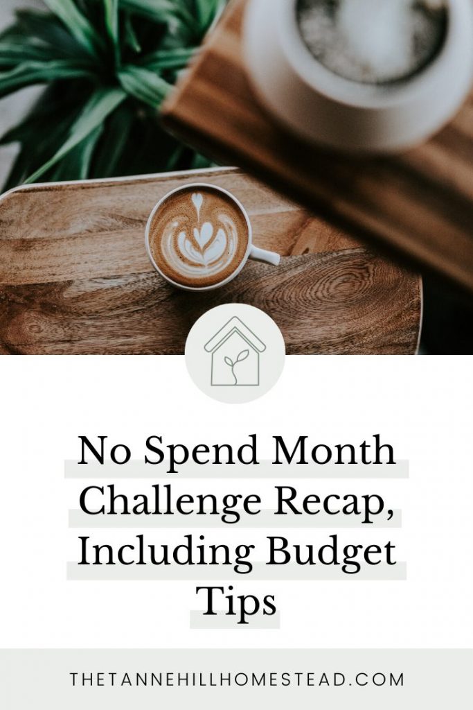 Curious about what you can gain from a No Spend Month? If so, I'm sharing my experience, tips, and budget experts in this post, so check it out now!
