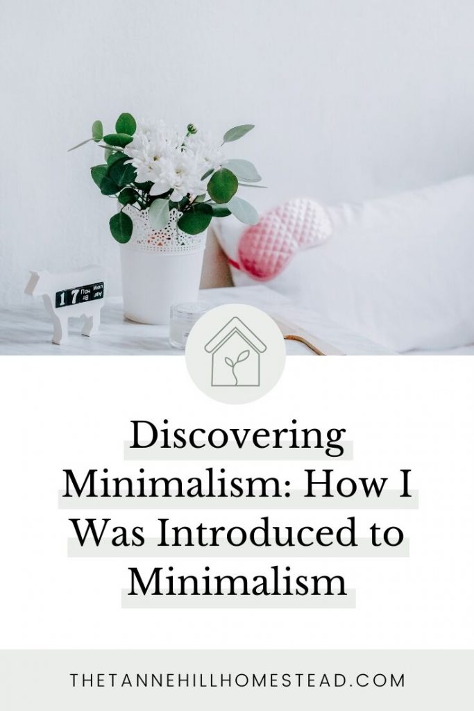 Sharing my story of how I was introduced to minimalism and the changes that came with becoming a minimalist. This isn't the story you think it is.
