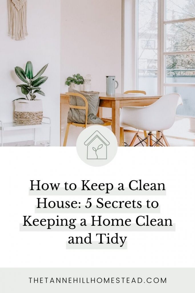 Want to learn how to keep a clean house? This post is going to teach you exactly that and even how to get it tidy! Check it out now!