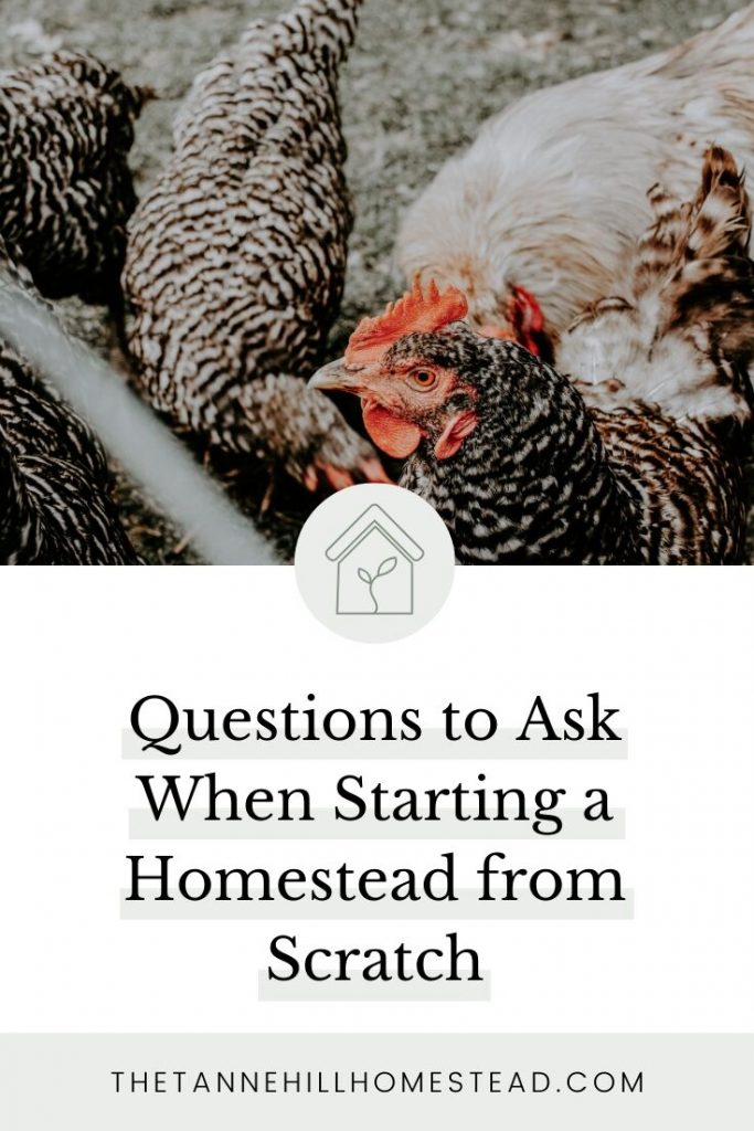 Are you thinking about starting a homestead from scratch? If so, here are 10 questions to ask before starting your homestead!