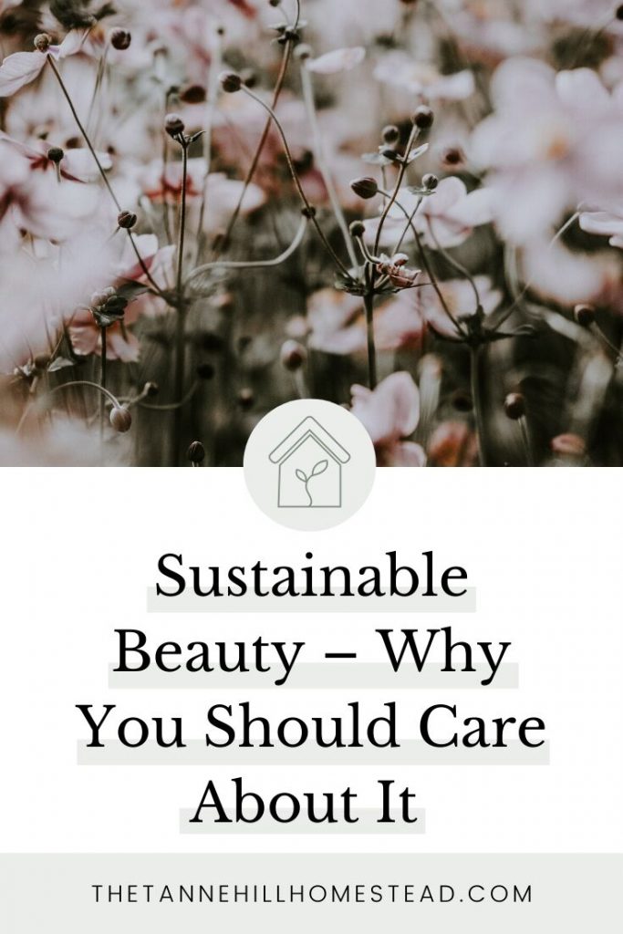Between the ingredients used in your beauty products and the packaging used, sustainable products are something we should all care about. This post shares why you should care and what options you have as a conscious consumer.