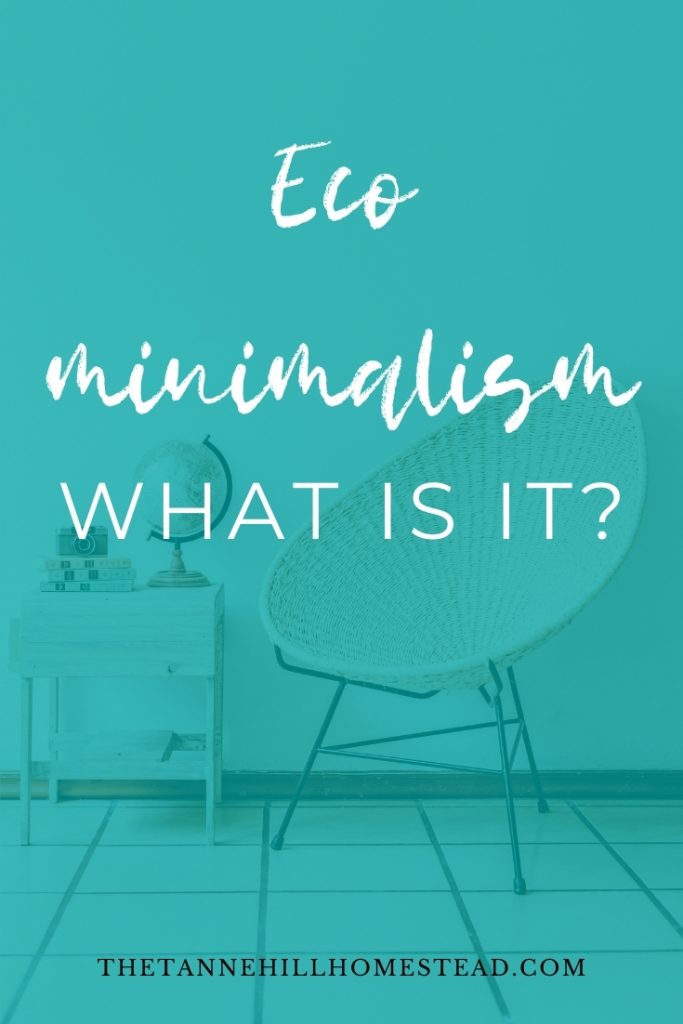 Eco minimalism is combining an eco-friendly lifestyle with a minimalist lifestyle. It is about consuming intentionally in ways that promote the planet's health. #ecominimalism #minimalism #ecofriendlyminimalism #ecofriendlyminimalist #ecofriendlyliving #ecofriendly
